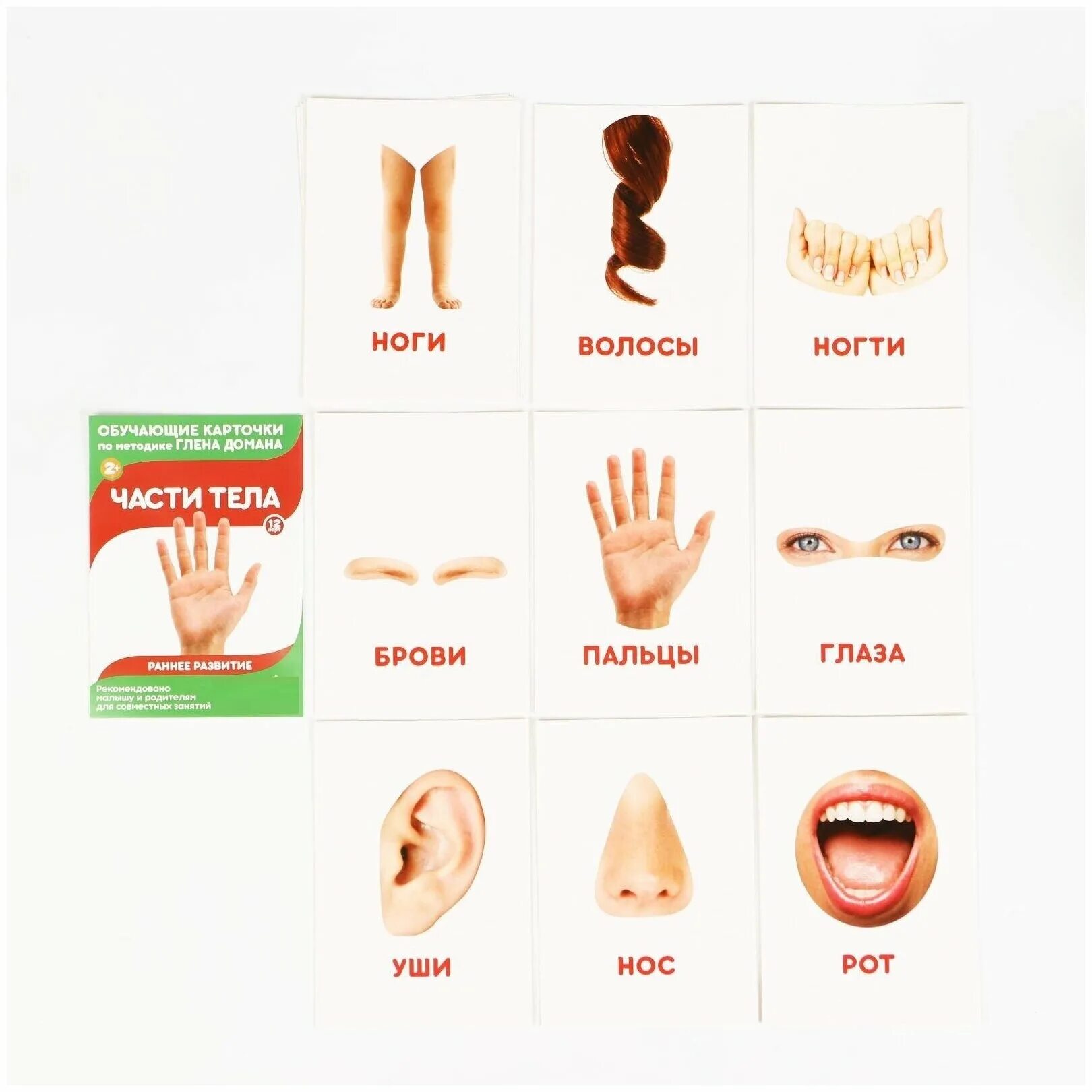 увеличь на 1 задания. карточки на кольце. расширенные карточки. карточки английский язык игрушки. карточка персонажа hearthstone.