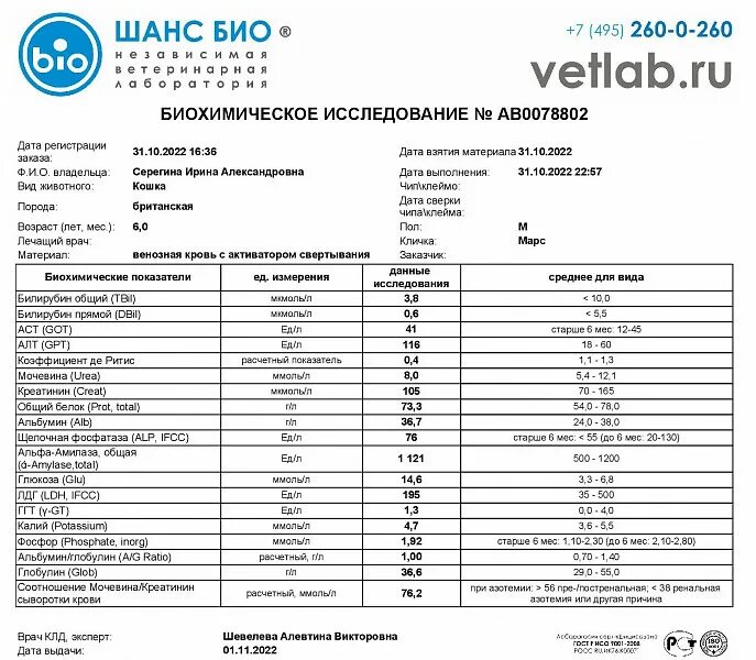 Биохимический анализ мочи белок. Анализ кала у кошки в норме. Биохимический анализ мочи белок. Биохимический анализ мочи белок. Биохимический анализ мочи белок.