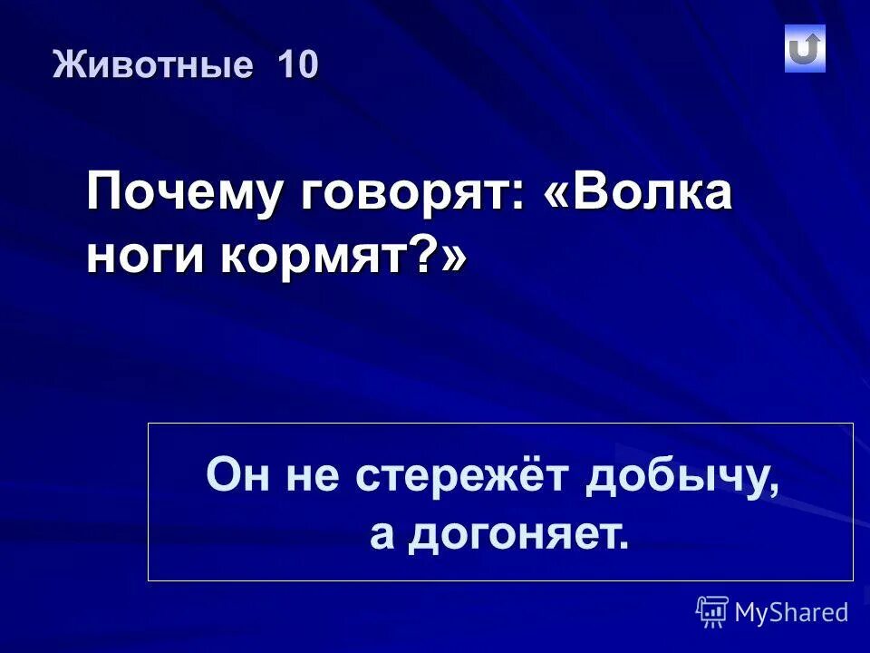 Почему говорят волк. Почему говорят, что "волка ноги кормят"?. Волка ноги кормят презентация начальная школа. Волков ноги кормят. Волка ноги кормят значение пословицы для детей.