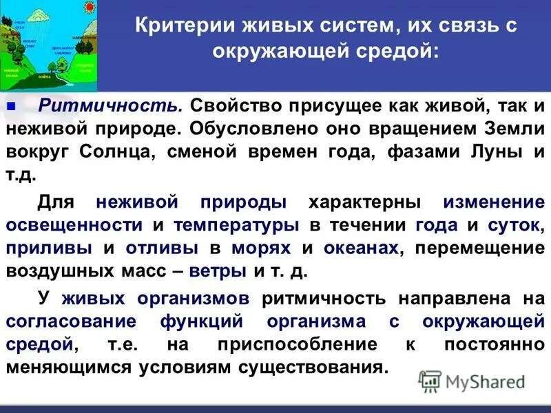 кандидат экологических наук