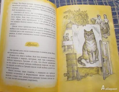 Васька кот 1