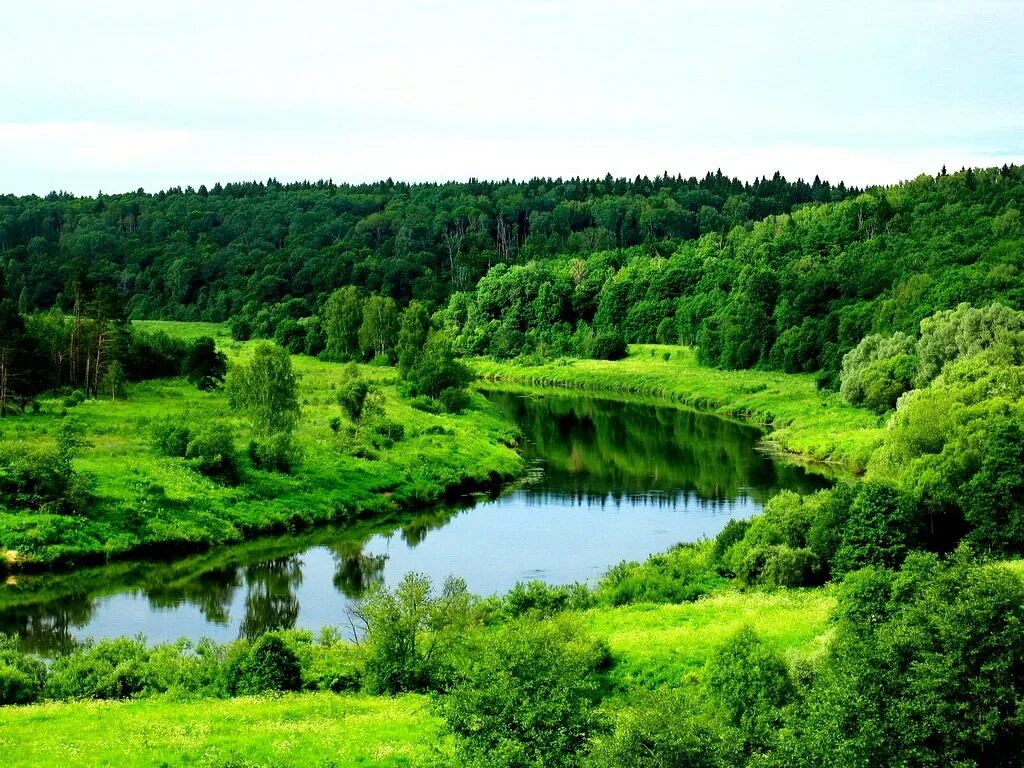 саяно-шушенский заповедник марал. заповедник национальный парк. места родные заповедные. места родные заповедные. охраняемая природа россии.