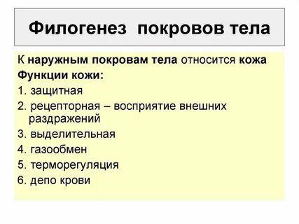 Интересные факты о покровах тела животных