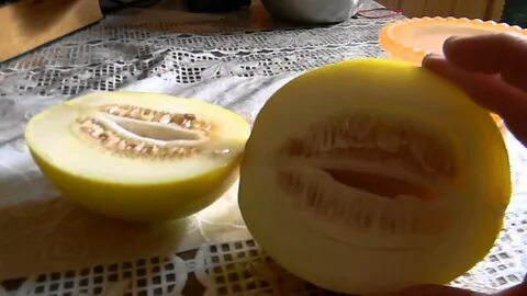 Дыня в разрезе