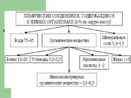 Вещество в составе которого содержится