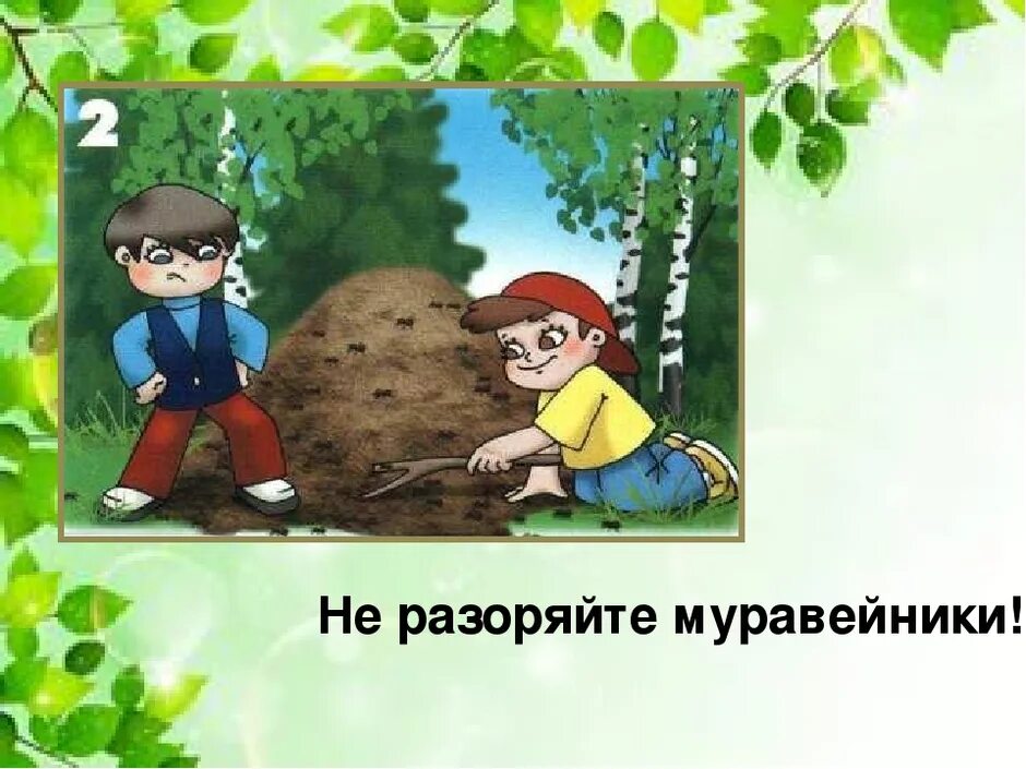 Правила поведения в природе видео. Правило поведения на природе. Безопасность в лесу для дошкольников. Правила поведения в лесу. Поведение в лесу для дошкольников.