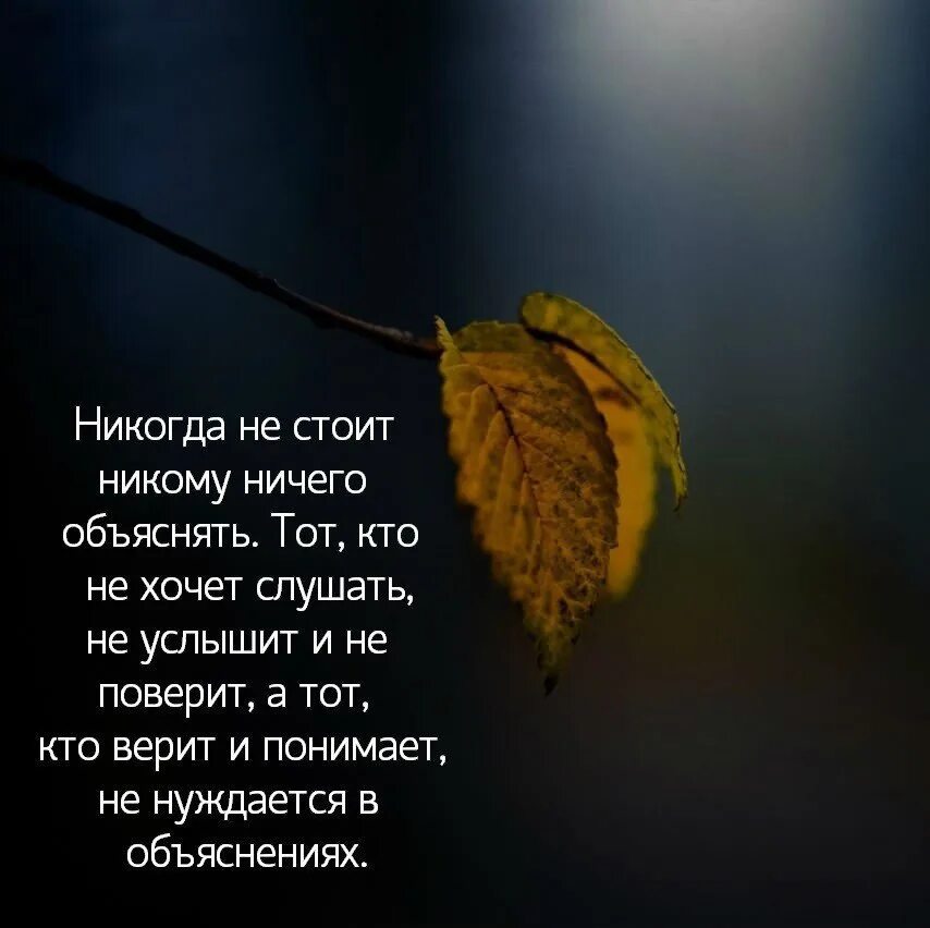 Ничего просто слушай. Никогда никому ничего не доказывайте цитаты. Ни кому ни чего не докзвайте. Никогда никому не доказывай. Никогда не оправдывайся и никому ничего не доказывай.