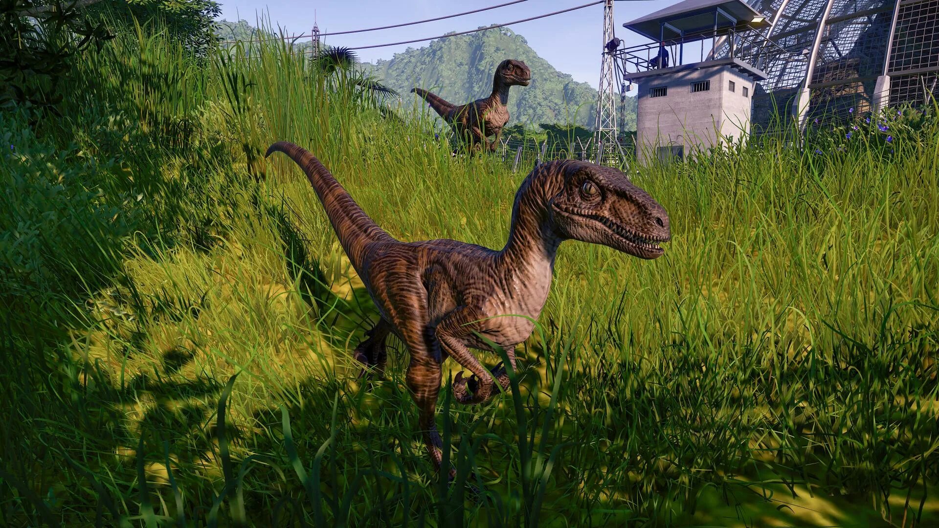 Кто является разработчиком jurassic park. Игра мир юрского периода эволюция. мир юрского периода эволюшн. jurassic world evolution 2. jurassic world evolution 2 парк.