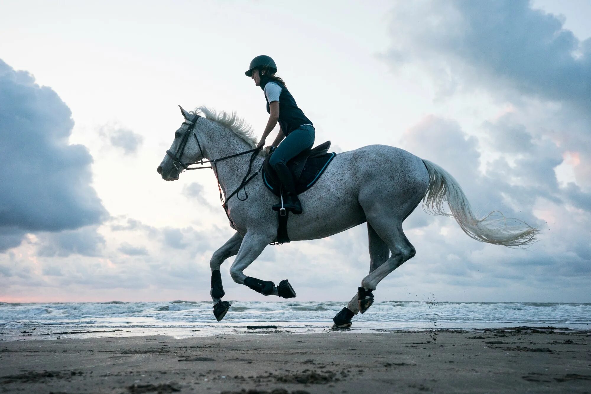 Хорс райдинг. Верхом на лошади. Верховая езда. Лошади Эстетика. Start riding