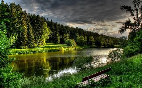 Природа картинки высокого качества