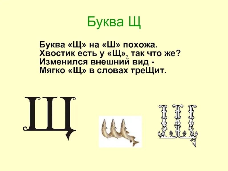 Буква щ. Стишки про букву щ. Буква щ презентация. Буква щ для дошкольников. 4 слова на щ