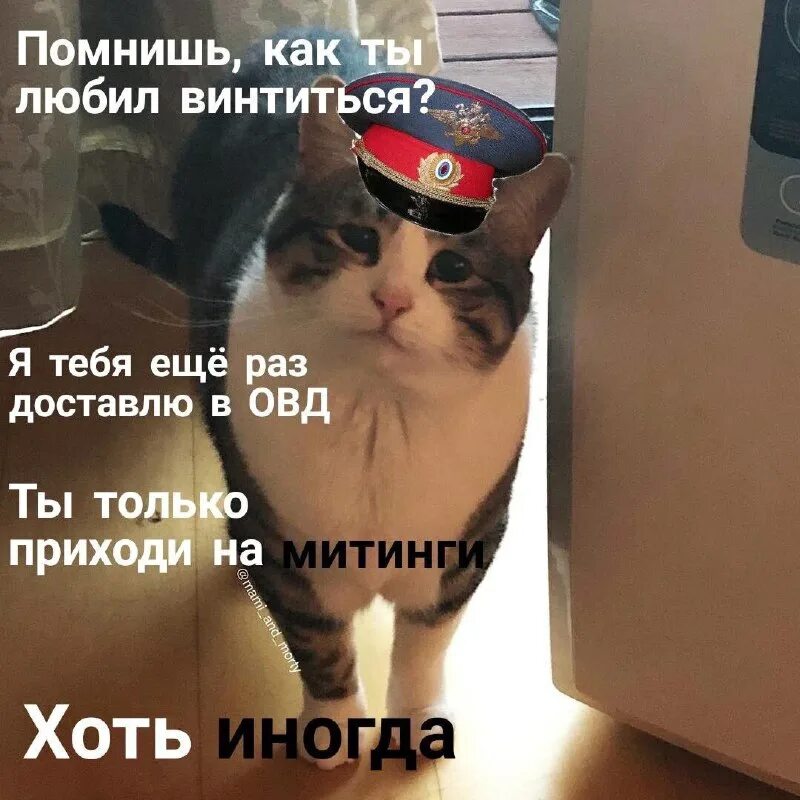 правила поведения в лифте. план безопасного поведения в лифте. незнакомые дети. только приезжай хоть иногда. помнить заходить.