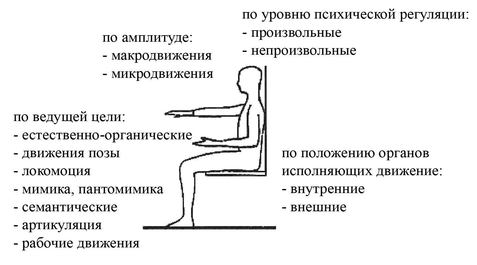 Регуляция произвольных движений