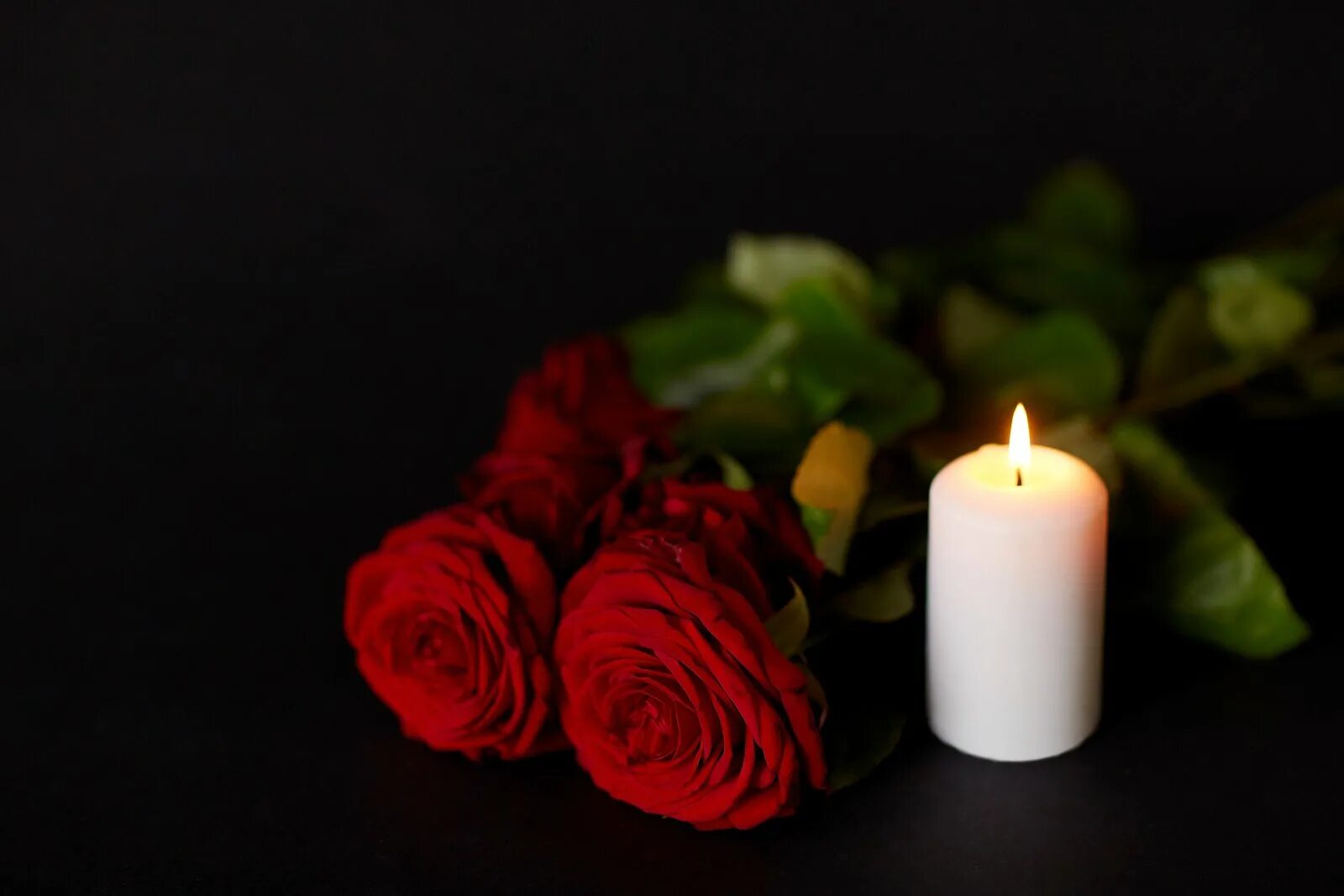 Свеча похоронная. Свечи и розы в темноте. Траурные цветы. Свеча похороны. Видео свеча на черном фоне