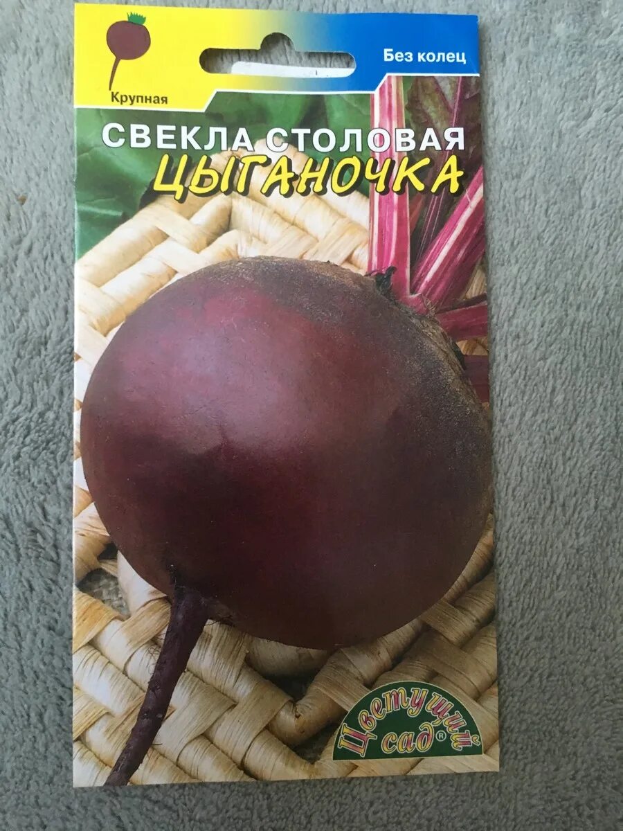 Свекла столовая цыганочка. Свёкла столовая хуторянка. Свекла столовая цыганочка. Свекла цыганка. Свекла цыганка.