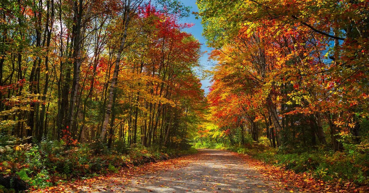 Fall in colours. Fall in colours