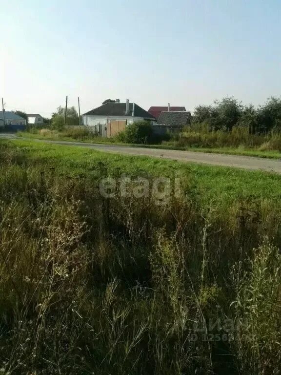 Погода в айдарово воронежская область. Айдарово чувашия. Белгородская область айдарово. Воронеж айдарово рамонь. Воронеж айдарово.