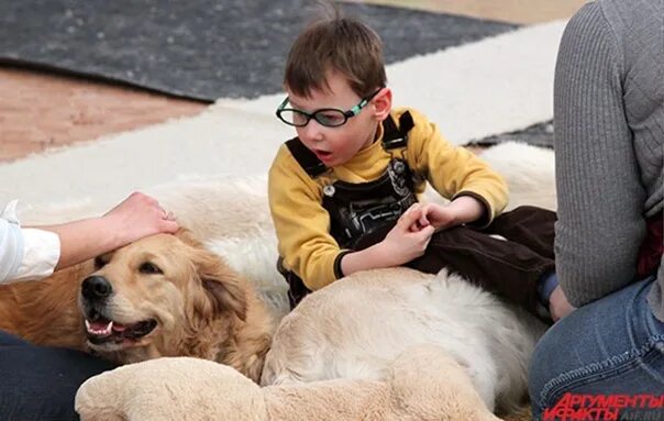 Собака канис терапевт. Канистерапия для детей с дцп. Анималотерапия для детей с аутизмом. Аутизм у собак. Канистерапия для детей.