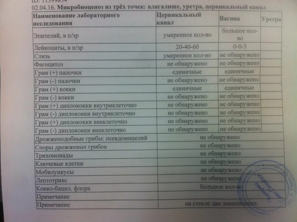 Список анализов на инфекции. Анализы на половые инфекции. исследование на иппп мазок. анализы на венерические заболевания. анализы на зппп для женщин.