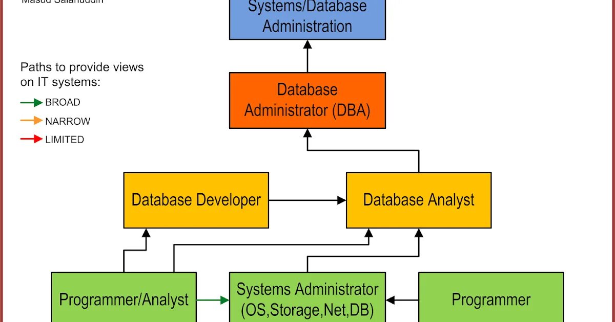 Database field. Database administrator dba. dba база данных. dbms functions. dba процесс на русском.