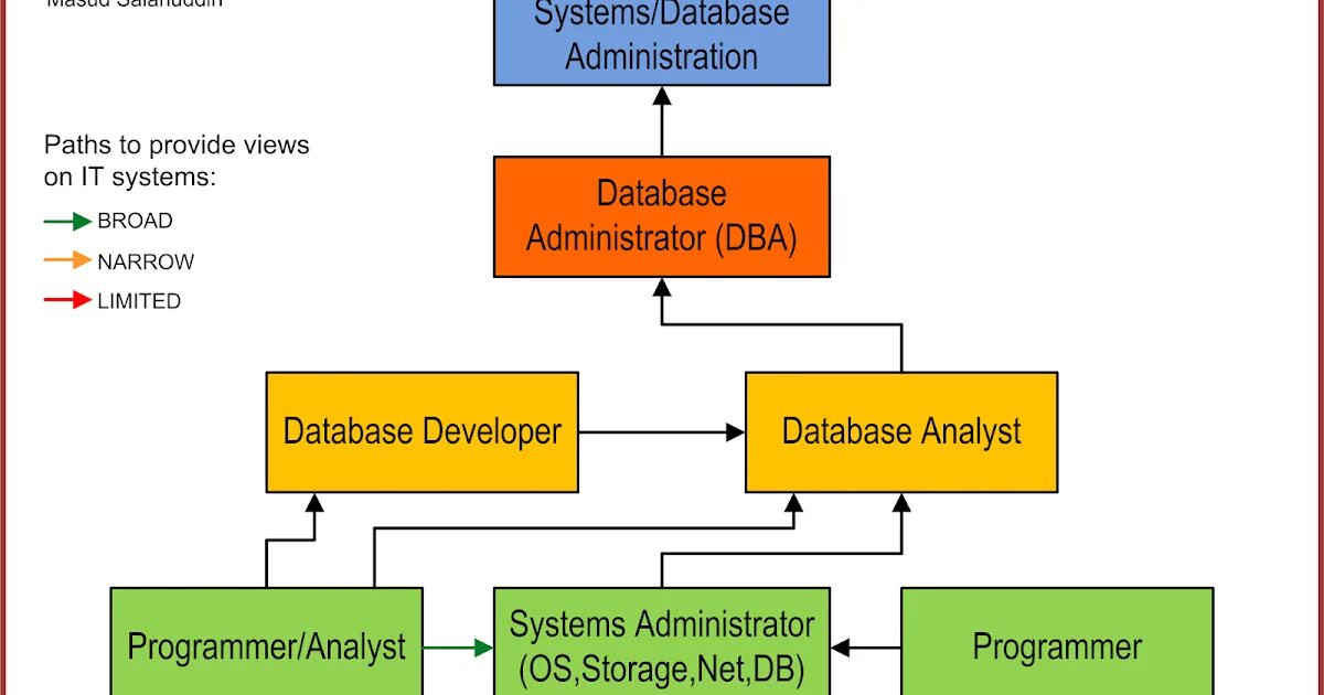 DBA database Administrator. DBA база данных. Database field. DBMS functions. Database fields