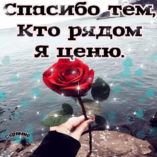 Почему важно благодарить тех кто вам помог