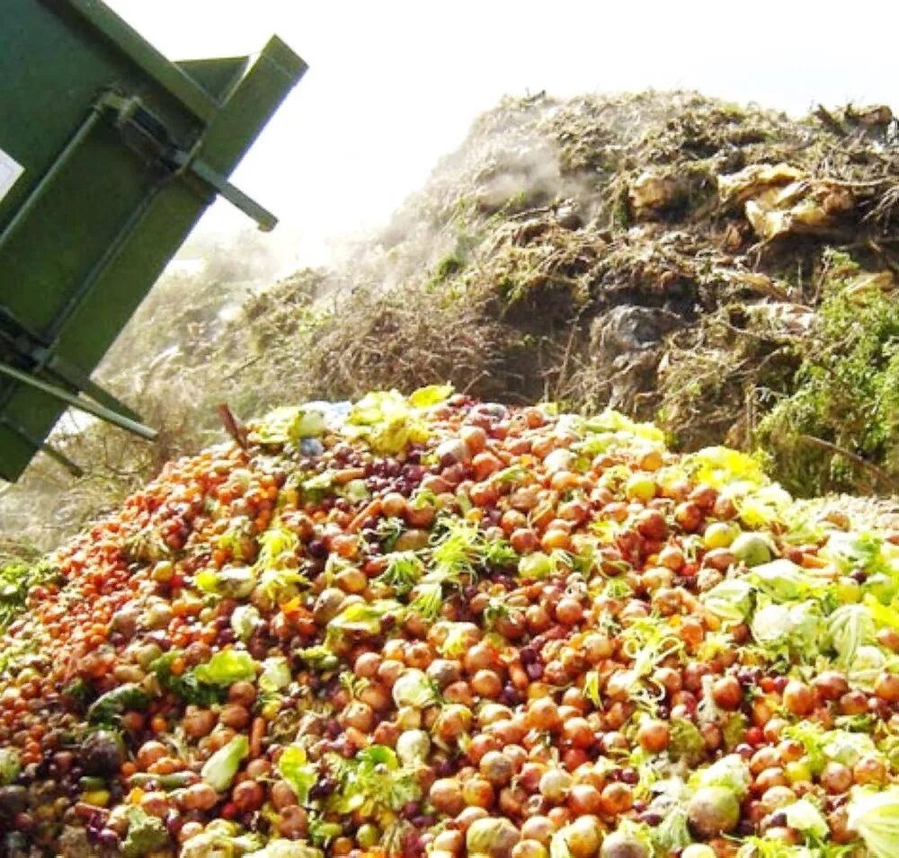 утилизация пищевых отходов. салатный цех. переработка сельскохозяйственной продукции. сельскохозяйственные отходы. технолог производства и переработки сельскохозяйственной продукции.