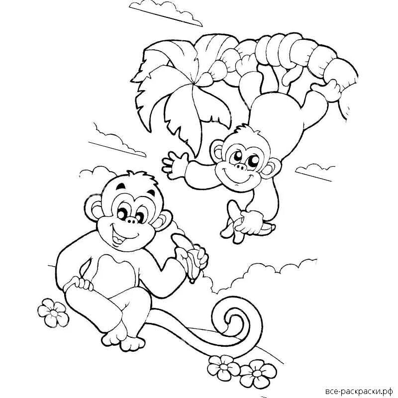 Раскраска про обезьянку. Обезьянка раскраска для малышей. Шимпанзе раскраска. Житков про обезьянку рисунок черно белый. Обезьяна раскраска для детей.