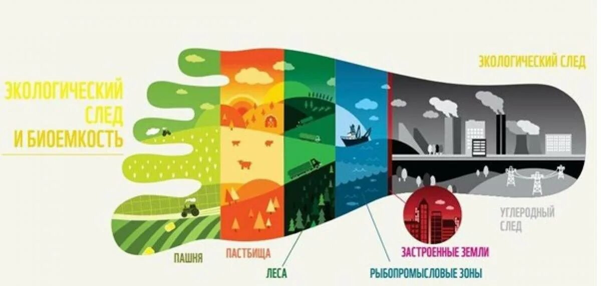 Экология мой след на планете. Экологический след. Экологический след человека. ЭКОСЛЕ. Экологичность углеродный след.