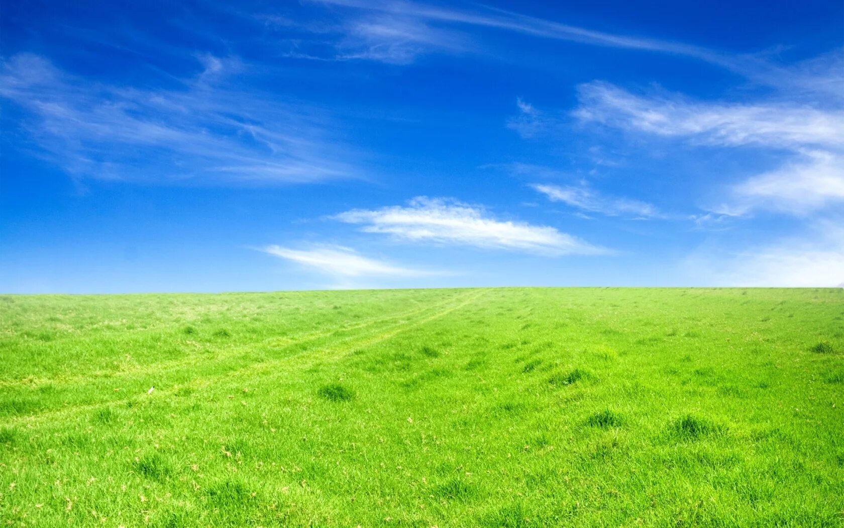 Clear field