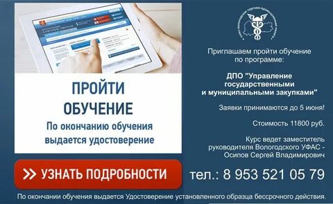 Курсы обучения тендерам с нуля