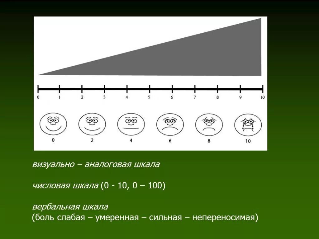 Шкала эшворта