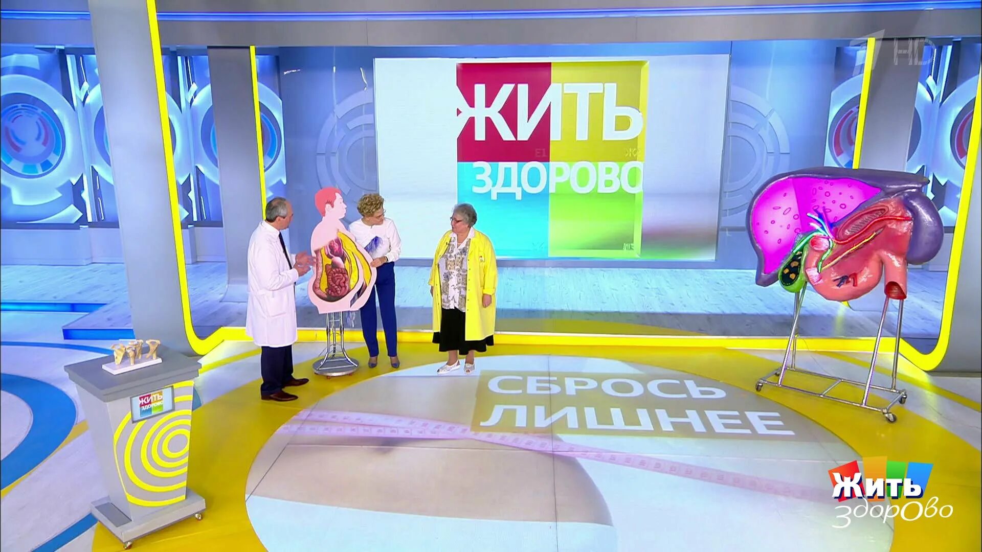 Здорово жить слова. Жить здорово. жить здорово студия. студия программы жить здорово. малышева жить здорово.