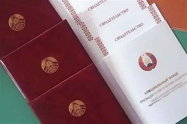Фонды помощи беларуси. Социальная защита населения фон. Республика башкортостан ассоциации. Специальная премия президента рб. Грант главы республики башкортостан.