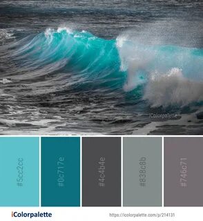 Ocean цвет