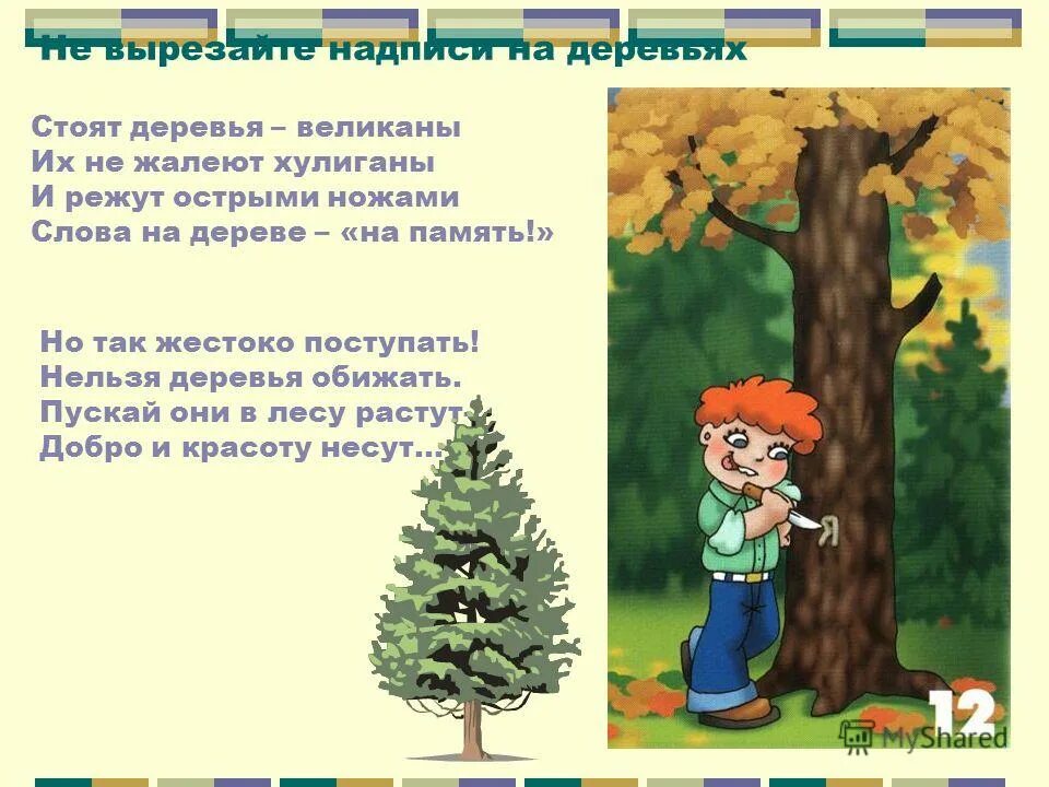 Ориентирование по местным признакам. Стояли у дерева какой. Стояли у дерева какой. Стояли у дерева какой. Ориентирование по веткам деревьев.