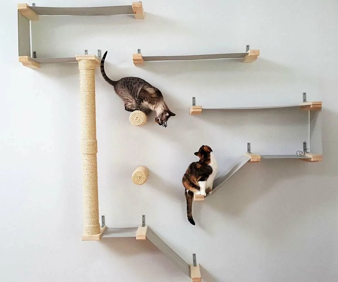 Кошачий домик лазалка. Полки для кошек. Настенные полки для кошек. Полочки для кошек на стене.