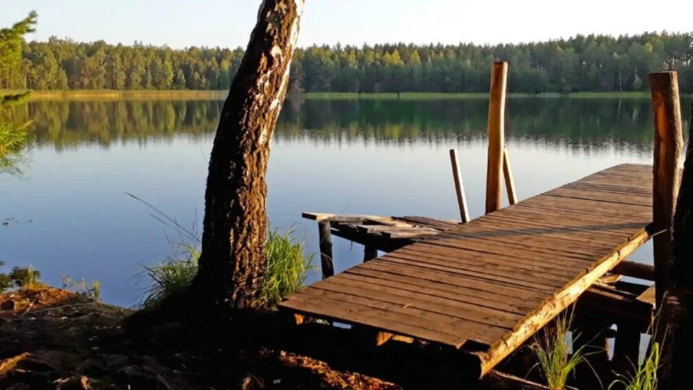 Брянские озера. Озеро круглое брянская область. Озеро круглое брянская область. Круглое озеро фокино брянская область. Озеро заборье.