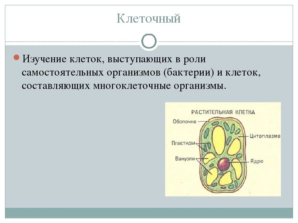 Самостоятельный организм. Разделы биологии изучающие клетки. клетка является самостоятельным организмом у. изучение клеток разных организмов вывод. самостоятельный организм биология.