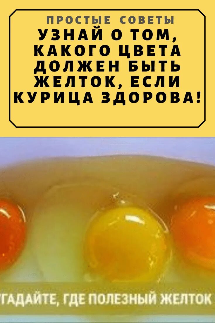 Почему яйцо оранжевое. Какого цвета должен быть желток. Каким цветом должен быть желток у яйца. Какой цвет должен быть у куриных желтков. Оранжевый желток.