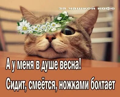 Смех весны