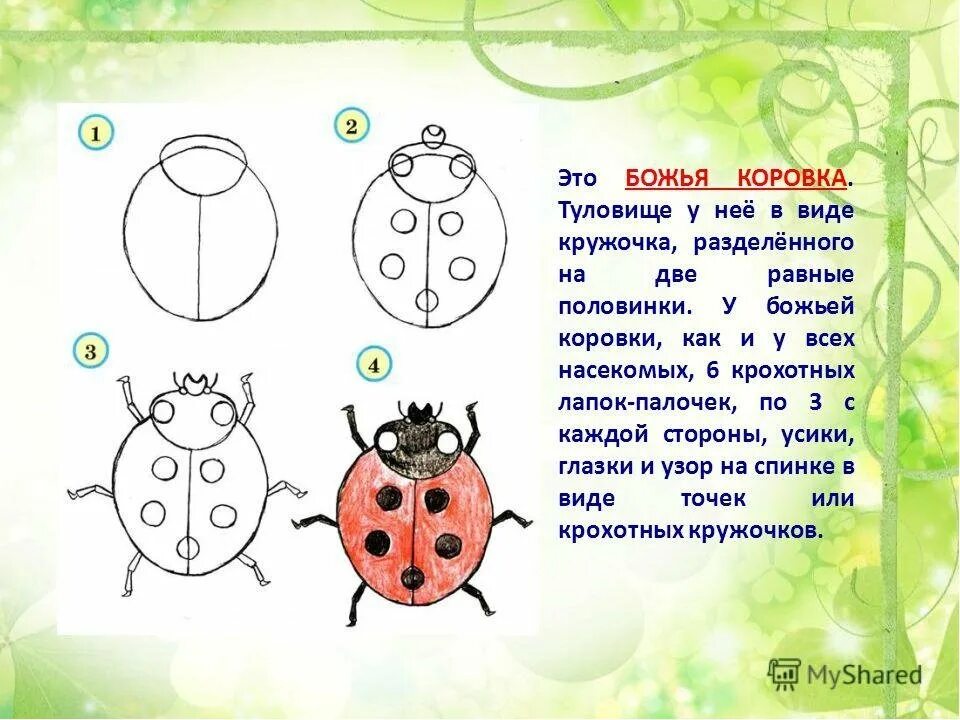 Характеристика божьей коровки. Рисование насекомые. Рисование Божья коровка. Рисование для детей Божья коровка. Рисование насекомых дошколятам.