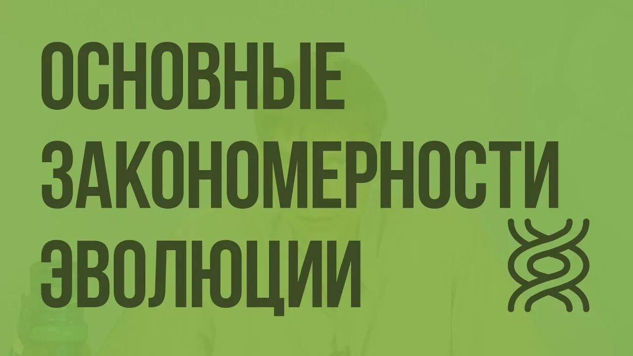 Видеоуроки биологии 11 класс. Биология видеоуроки. Тест закономерности эволюции 11 класс. Биология 9 класс видеоуроки. Создание детей видео урок по биологии.