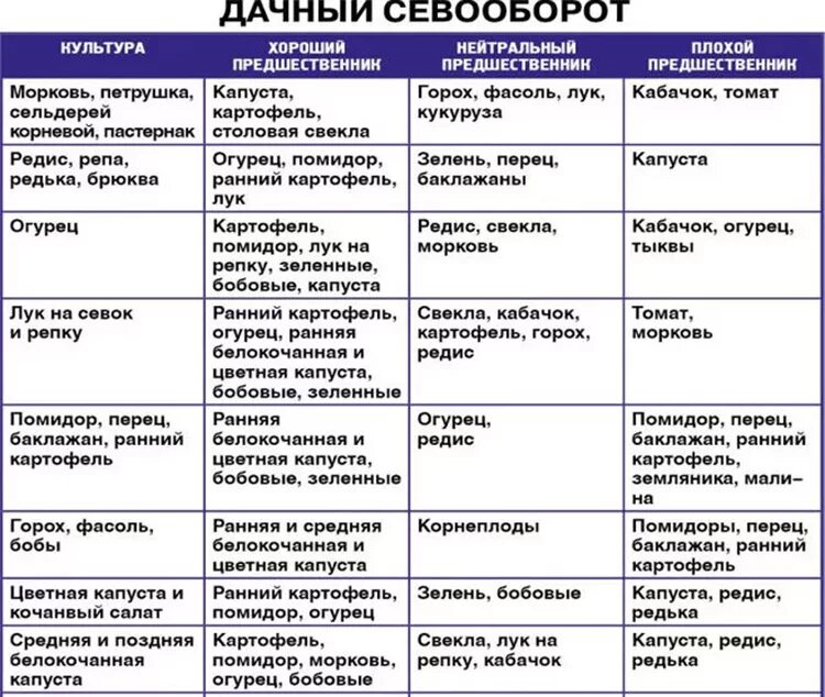 Севооборот овощных культур на дачном участке таблица. Очередность посадки овощных культур таблица. Чередование посадки овощей на огороде таблица. Севооборот на огороде таблица посевов. Какой овощ после какого сажать