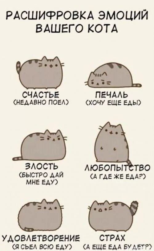 Как стать котом