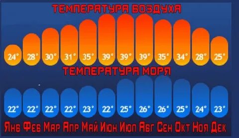 Температура в египте по месяцам