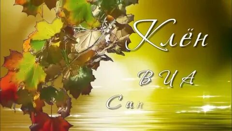 Минус песни где дубы и клены