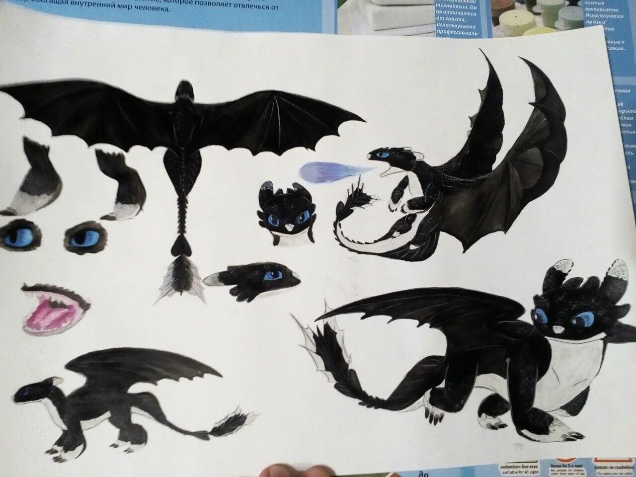 Грозокрыл шторморез. Ночная фурия беззубик. Как приручить дракона крылья. Крылья дракона ночной фурии. Крылья дракона ночной фурии.