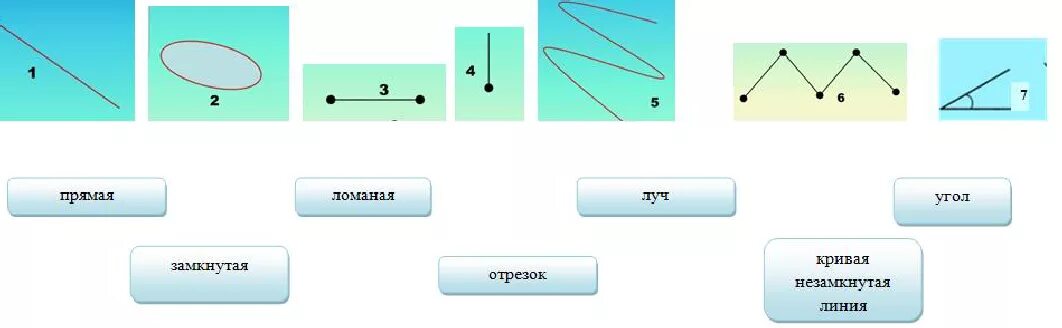 Группа прямая линия. Прямые кривые ломаные замкнутые линии. Отрезок это Геометрическая фигура. Кривая линия прямая линия отрезок Луч. Кривая линия геометрия.