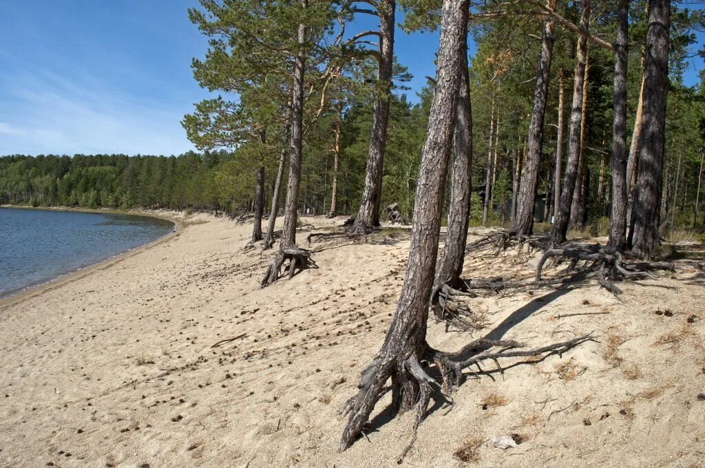 озеро арей. арей забайкальский край. озеро арей забайкальский край база. озера таре забайкальский крае. озеро арейское забайкальский край.